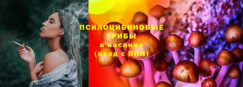 наркошоп  Алапаевск  Галлюциногенные грибы Cubensis 